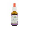SALVIA PARADISE SIPELGAPUU KOORE EHK PAU D´ARCO TINKTUUR, 50ML / TOIDULISAND
