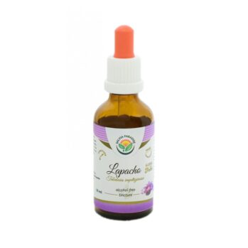 SALVIA PARADISE SIPELGAPUU KOORE EHK PAU D´ARCO TINKTUUR, 50ML / TOIDULISAND