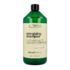 Alter Ego Italy Scalp Ritual Energizing Shampoo 950ml